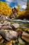 Picture of FALL AT THE CRYSTAL MILL NEAR MARBLE-COLORADO IN THE ROCKY MOUNTAINS