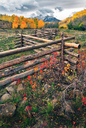 Picture of A LOG FENCE LEADS TO THE HORIZON ON DALLAS DIVIDE NEAR TELLURIDE IN THE COLORADO ROCKY MOUNTAINS