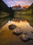 Picture of ASPEN LEAVES SIGNIFY THE END OF FALL AND THE BEGINNING OF WINTER AT THE MAROON BELLS