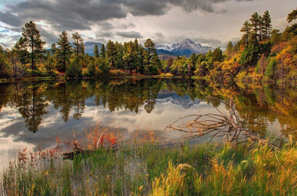 Picture of A TRANQUIL POND REFLECTS MT SNAFFLES AND FALL IN THE COLORADO ROCKY MOUNTAINS