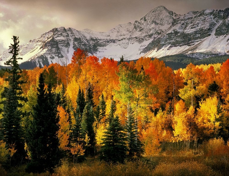 Picture of WILSON PEAK NEAR TELLURIDE IN THE COLORADO ROCKY MOUNTAINS