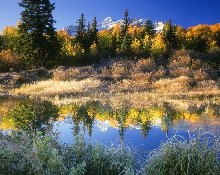 Picture of WILSON PEAK NEAR TELLURIDE IN THE COLORADO ROCKY MOUNTAINS