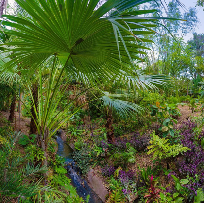 Picture of FLORIDA-TROPICAL GARDEN WITH PALM FROND
