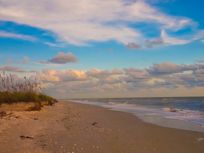 Picture of BEACH-SANIBEL ISLAND-FLORIDA-USA