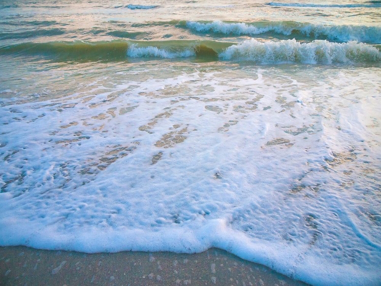 Picture of SANIBEL ISLAND-FLORIDA-USA