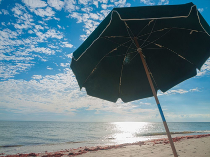 Picture of BEACH UMBRELLA-SANIBEL ISLAND-FLORIDA-USA