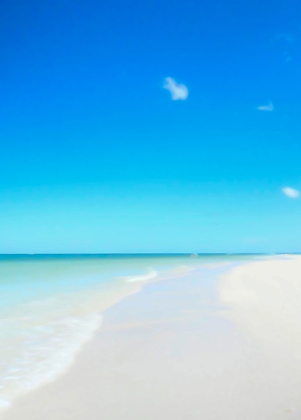 Picture of CLEARWATER BEACH-WHITE SANDS AND A BOAT IN THE DISTANCE ON THE GREEN WATER OF THE GULF OF MEXICO