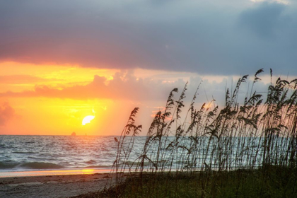 Picture of SUNRISE ON ATLANTIC BEACH