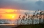 Picture of SUNRISE ON ATLANTIC BEACH