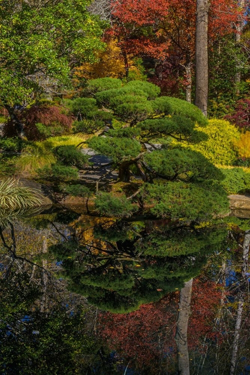 Picture of GEORGIA-JASPER JAPANESE GARDEN AND POND IN GIBBS GARDEN 