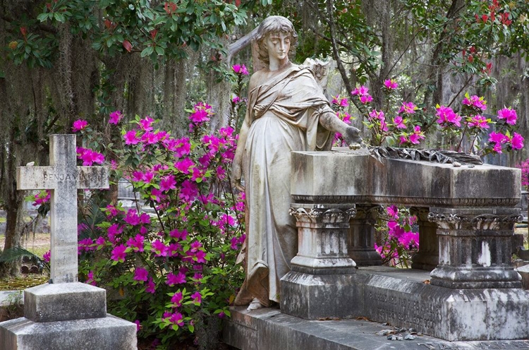 Picture of GEORGIA-SAVANNAH-BONAVENTURE CEMETERY IN THE SPRING WITH AZALEAS IN BLOOM