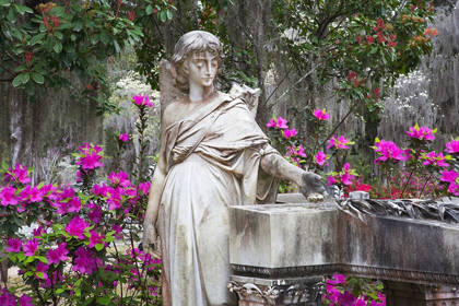 Picture of GEORGIA-SAVANNAH-BONAVENTURE CEMETERY IN THE SPRING WITH AZALEAS IN BLOOM