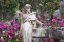 Picture of GEORGIA-SAVANNAH-BONAVENTURE CEMETERY IN THE SPRING WITH AZALEAS IN BLOOM