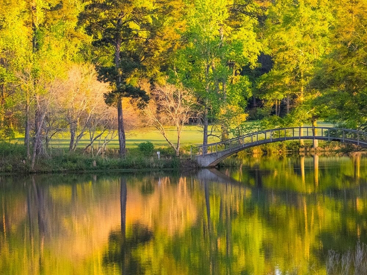 Picture of GEORGIA-CALLAWAY GARDENS SPRINGTIME