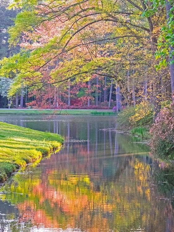 Picture of GEORGIA-CALLAWAY GARDENS SPRINGTIME