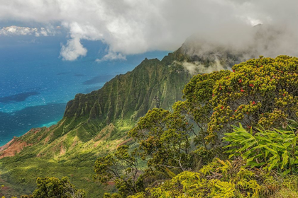 Picture of NAPALI COASTLINE-KAUAI-HAWAIIAN ISLANDS,