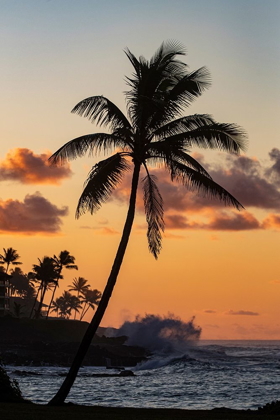 Picture of COCONUT PALM TREES SILHOUETTED AGAINST VIVID SUNRISE CLOUDS AT POIPU BEACH IN KAUAI-HAWAII-USA
