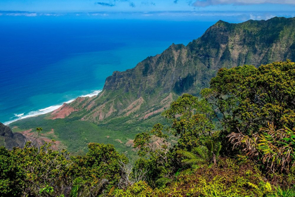 Picture of KALALAU VALLEY LOOKOUT-KAUAI-HAWAII-USA