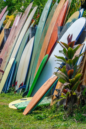 Picture of SURFBOARDS AND BODYBOARDS-KAUAI-HAWAII-USA