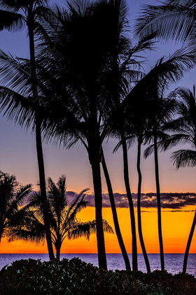 Picture of TROPICAL SUNSET
