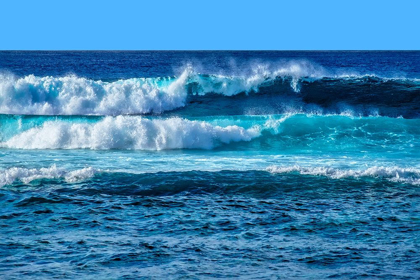 Picture of MAUI WAVES