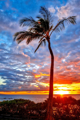 Picture of SUNSET ON WAILEA BEACH-MAUI-HAWAII-USA
