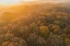 Picture of AERIAL VIEW OF FALL COLOR AT SUNRISE-MARION COUNTY-ILLINOIS