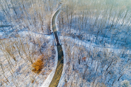 Picture of AERIAL VIEW OF FOREST AND ROAD AFTER SNOWFALL IN WINTER STEPHEN A FORBES STATE RECREATION AREA