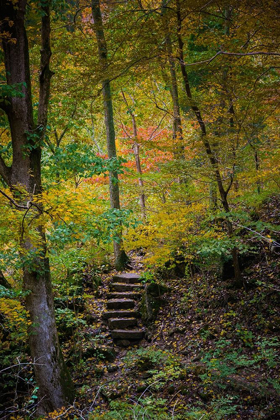Picture of TRAIL STEPS IN CLIFTY CREEK PARK-SOUTHERN INDIANA