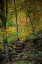 Picture of TRAIL STEPS IN CLIFTY CREEK PARK-SOUTHERN INDIANA