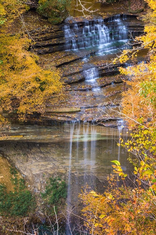 Picture of FALL FOLIAGE OVER WATERFALL IN CLIFTY CREEK PARK-SOUTHERN INDIANA