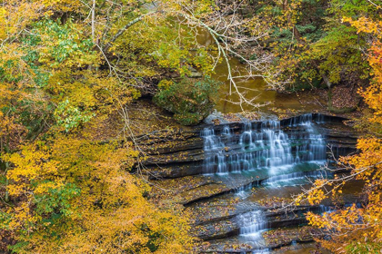 Picture of FALL FOLIAGE OVER WATERFALL IN CLIFTY CREEK PARK-SOUTHERN INDIANA