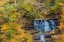 Picture of FALL FOLIAGE OVER WATERFALL IN CLIFTY CREEK PARK-SOUTHERN INDIANA