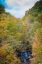 Picture of FALL FOLIAGE OVER WATERFALL IN CLIFTY CREEK PARK-SOUTHERN INDIANA