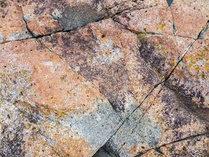 Picture of MAINE PATTERNS ON ROCK ON THE BEACH NEAR THUNDER HOLE IN ACADIA NATIONAL PARK