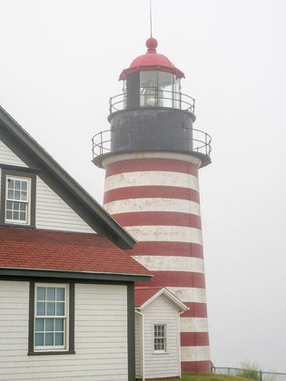 Picture of MAINE WEST QUODDY HEAD LIGHT AT QUODDY HEAD STATE PARK IN LUBEC-MAINE