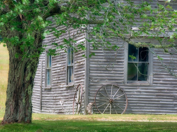 Picture of MAINE HISTORIC STONE BARN FARM (1820) IN BAR HARBOR