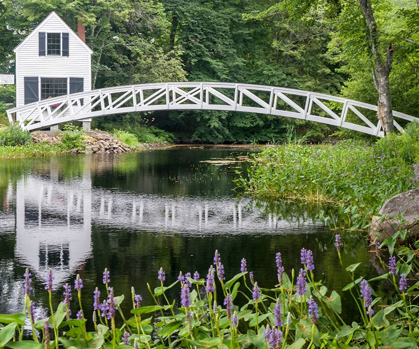 Picture of MAINE SOMESVILLE BRIDGE WITH REFLECTION IN ACADIA NATIONAL PARK