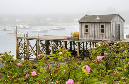 Picture of MAINE BERNARD FISHING VILLAGE-MOUNT DESERT ISLAND-MAINE-USA