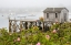Picture of MAINE BERNARD FISHING VILLAGE-MOUNT DESERT ISLAND-MAINE-USA