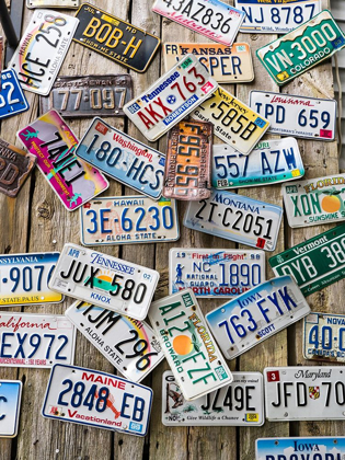 Picture of MAINE LICENSE PLATES ON OLD WALL IN BAR HARBOR