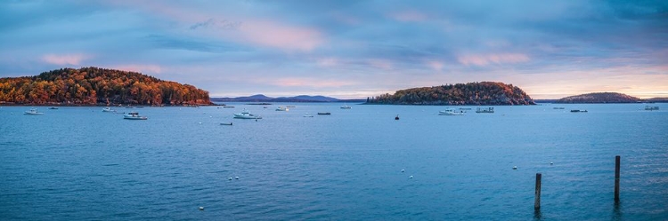 Picture of MAINE-MT DESERT ISLAND-BAR HARBOR-VIEW OF FRENCHMAN BAY-AUTUMN