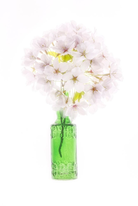 Picture of MARYLAND-BETHESDA GREEN VASE WITH CHERRY BLOSSOMS