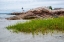 Picture of HARBOR LIGHT-IPSWICH BAY-ANNISQUAM-MASSACHUSETTS-USA