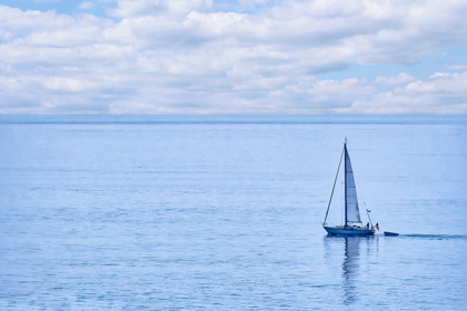 Picture of SAILBOAT ON NAHANT BAY-MASSACHUSETTS