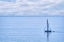Picture of SAILBOAT ON NAHANT BAY-MASSACHUSETTS
