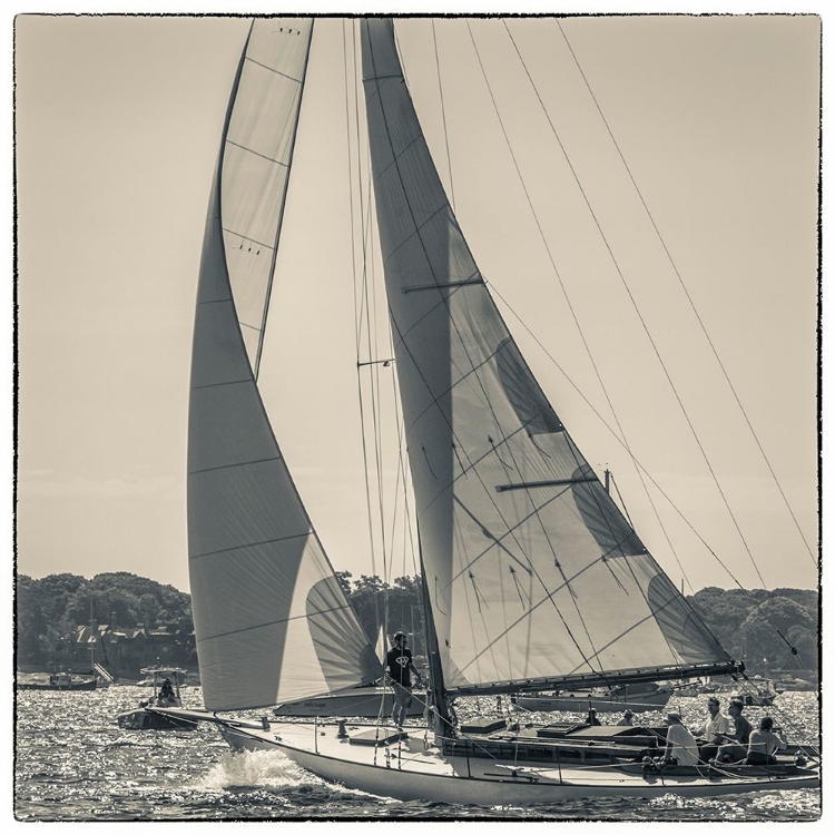 Picture of NEW ENGLAND-MASSACHUSETTS-CAPE ANN-GLOUCESTER-GLOUCESTER SCHOONER FESTIVAL-SCHOONER PARADE OF SAIL