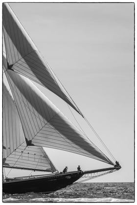 Picture of NEW ENGLAND-MASSACHUSETTS-CAPE ANN-GLOUCESTER-GLOUCESTER SCHOONER FESTIVAL-SCHOONER PARADE OF SAIL