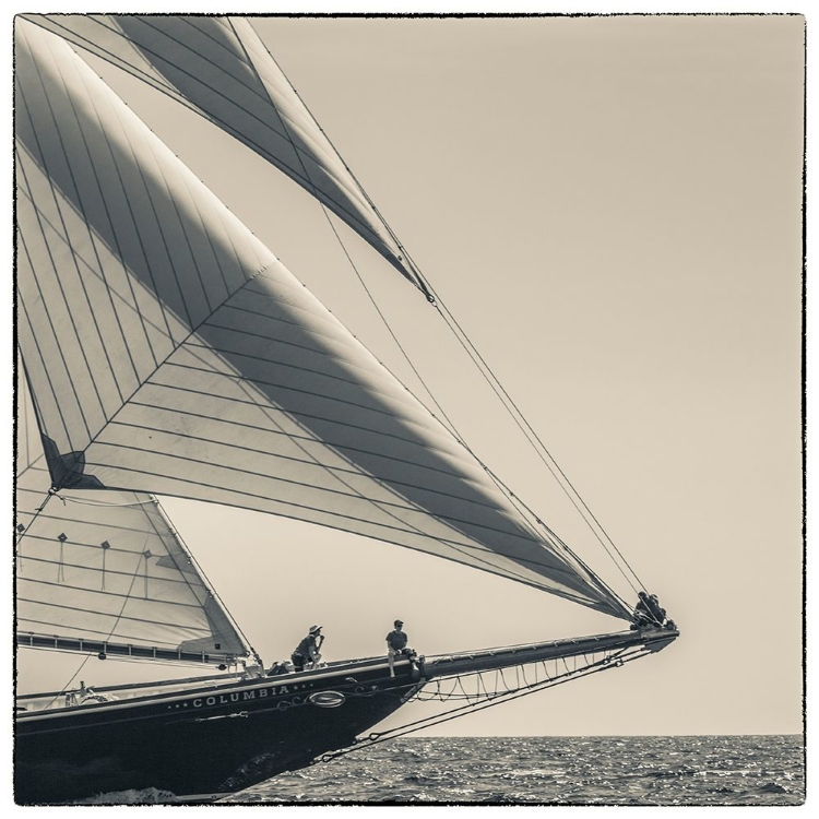 Picture of NEW ENGLAND-MASSACHUSETTS-CAPE ANN-GLOUCESTER-GLOUCESTER SCHOONER FESTIVAL-SCHOONER PARADE OF SAIL