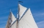 Picture of NEW ENGLAND-MASSACHUSETTS-CAPE ANN-GLOUCESTER-GLOUCESTER SCHOONER FESTIVAL-SCHOONER SAILS